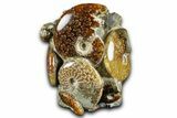 Tall Composite Ammonite Fossil Display - Madagascar #361351-1